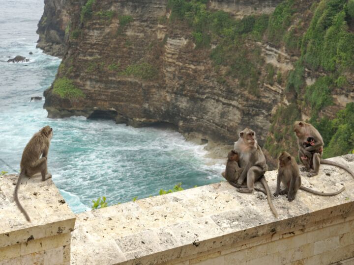 Le temple d Uluwatu et la danse du feu kecak